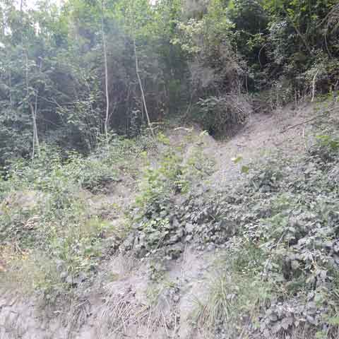 VIA AI PINI DI RIVAROLO